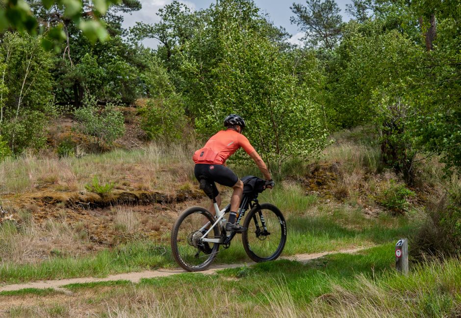 vaude cima trikot