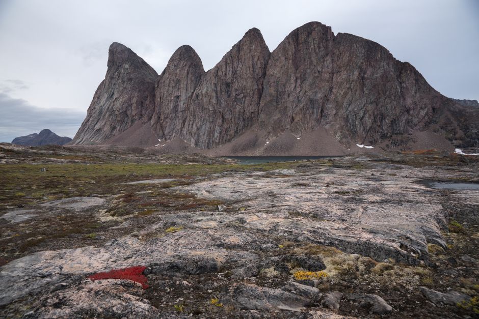 fee Berghaus Mount Asgard