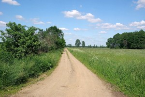 Spreewald - Gurkenradweg nahe Alt Zauche.
